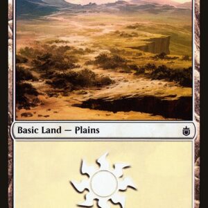 Plains