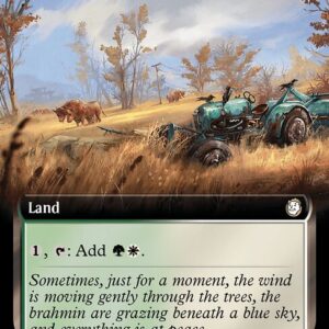 Sungrass Prairie