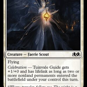 Tuinvale Guide
