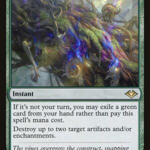 Force of Vigor