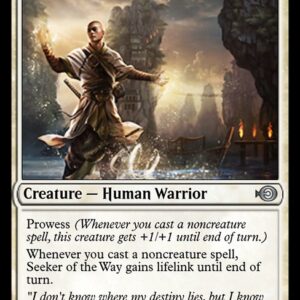 Seeker of the Way