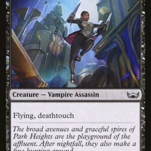 Midnight Assassin