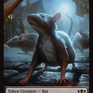 Rat