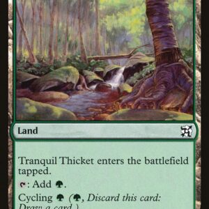 Tranquil Thicket