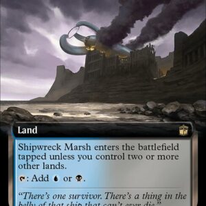 Shipwreck Marsh