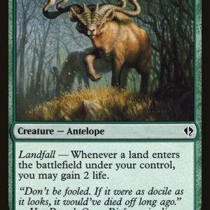 Grazing Gladehart