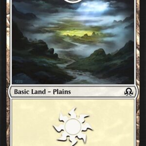 Plains