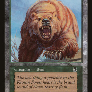 Bear
