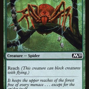 Canopy Spider