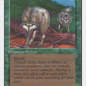 Timber Wolves