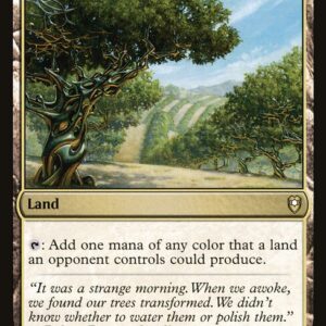 Exotic Orchard