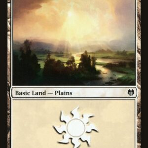 Plains