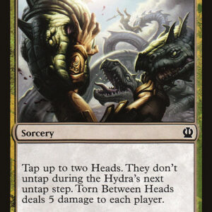 Torn Between Heads