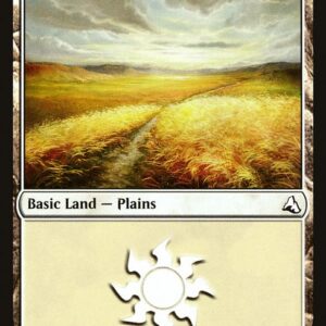 Plains