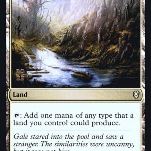 Reflecting Pool