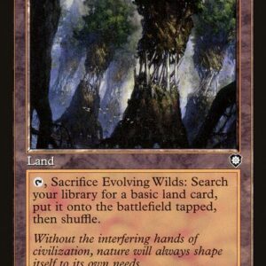 Evolving Wilds