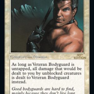 Veteran Bodyguard