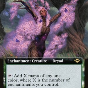 Sanctum Weaver