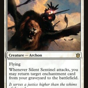 Silent Sentinel