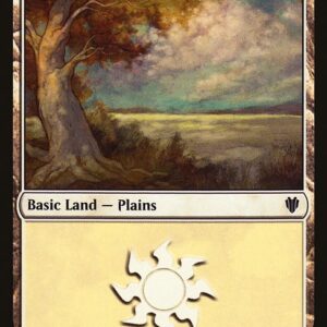 Plains