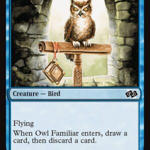 Owl Familiar