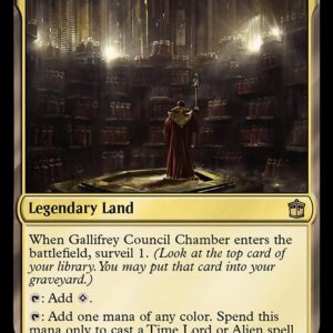 Gallifrey Council Chamber