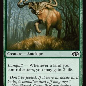 Grazing Gladehart