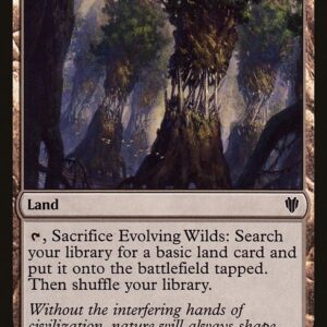 Evolving Wilds