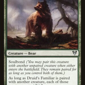 Druid's Familiar