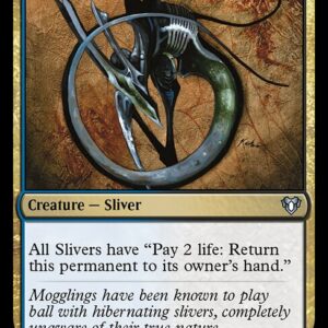Hibernation Sliver