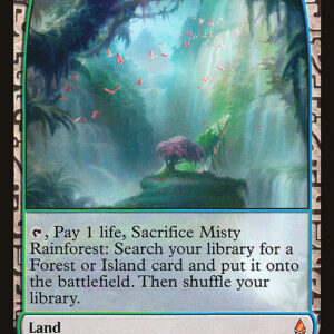 Misty Rainforest