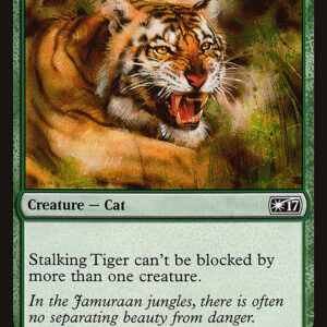 Stalking Tiger