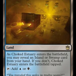 Choked Estuary