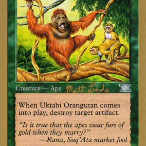 Uktabi Orangutan