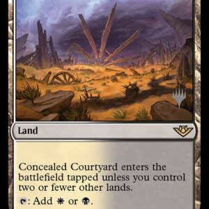 Concealed Courtyard