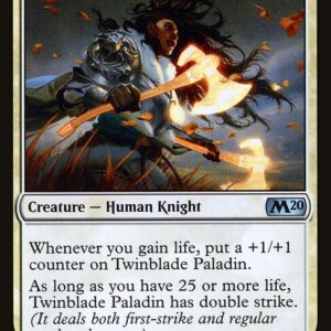 Twinblade Paladin