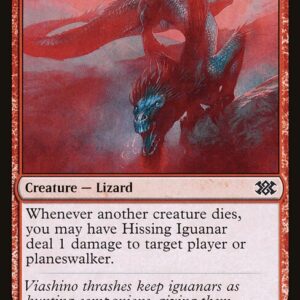 Hissing Iguanar