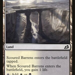 Scoured Barrens