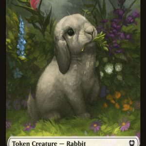 Rabbit