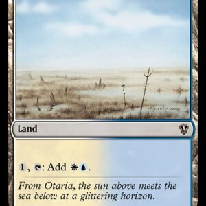 Skycloud Expanse