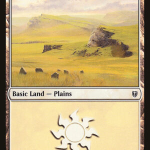 Plains