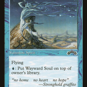 Wayward Soul