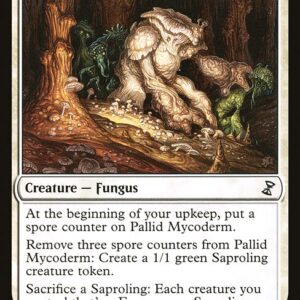 Pallid Mycoderm