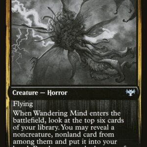 Wandering Mind