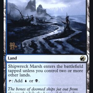 Shipwreck Marsh