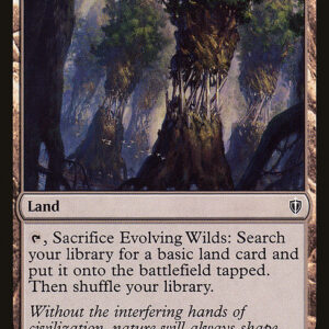 Evolving Wilds