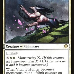 Vitality Hunter