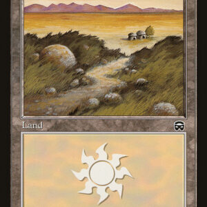 Plains