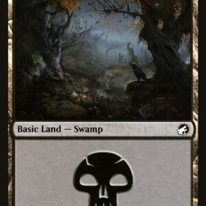 Swamp