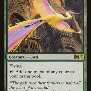 Birds of Paradise